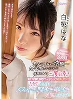 CAWD-174 Shirato Hana